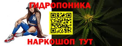 индика Моздок