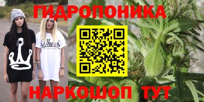 спайс Можга